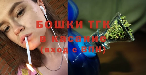 твердый Верхний Тагил
