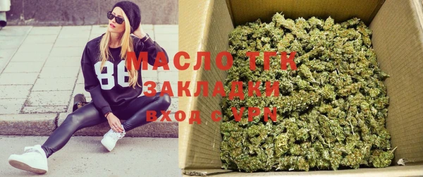 твердый Верхний Тагил