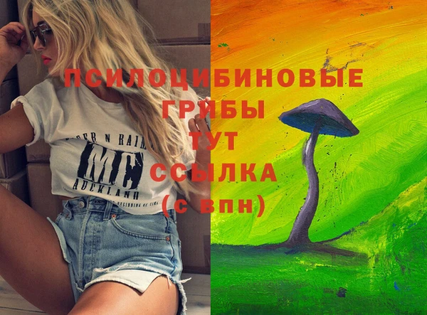 твердый Верхний Тагил